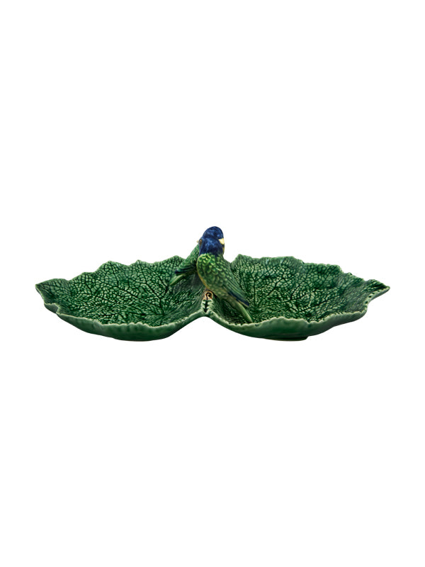 Cineraria Double Leaf 34cm with Blue Birds