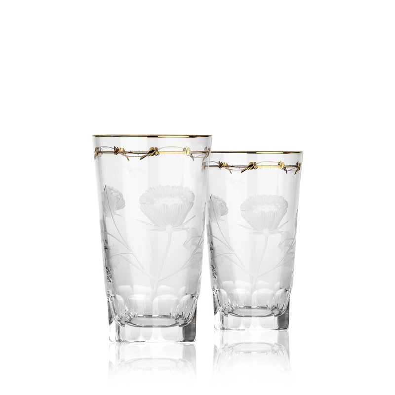 Paula Tumblers, 220 ml CLEAR S/2