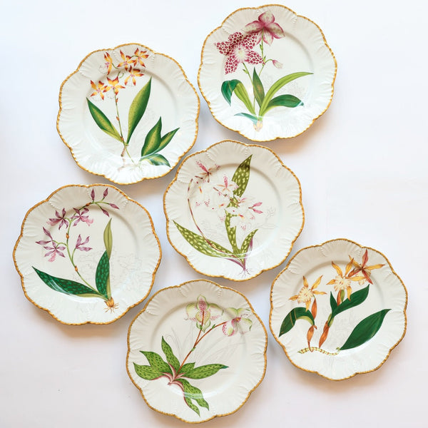 Histoires d'Orchidées- Dinner Plates Set of 6
