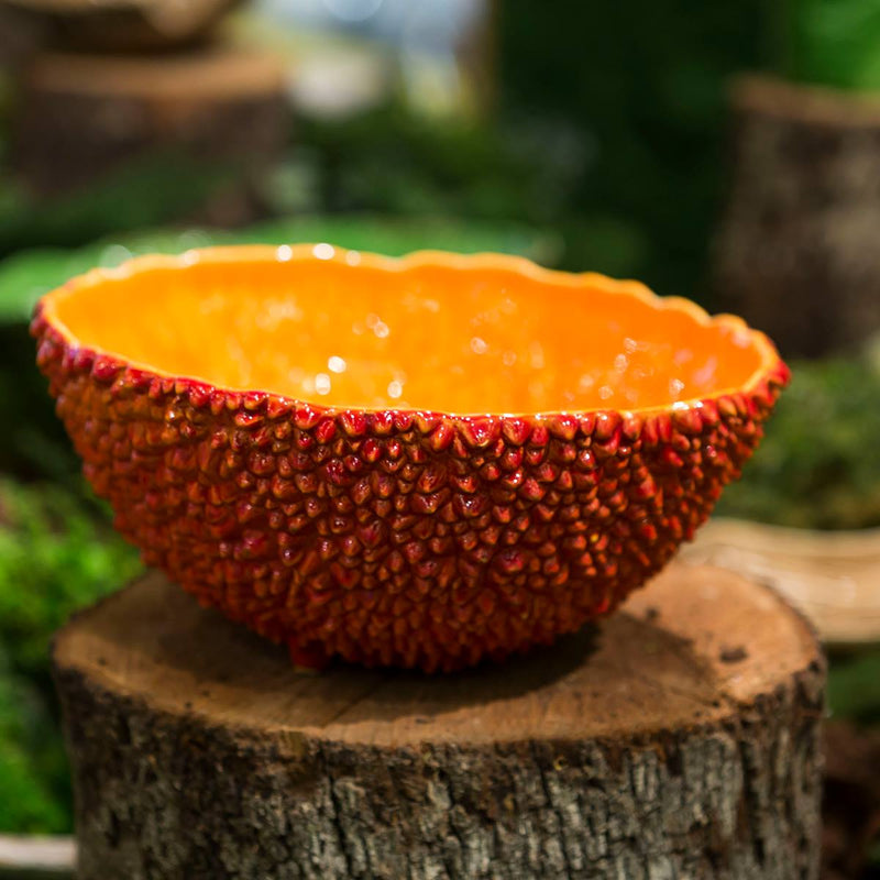 Salad Bowl Amazonia