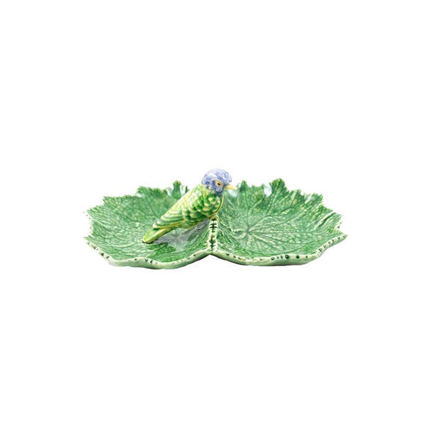 Cineraria Double Leaf 22cm with Blue Bird