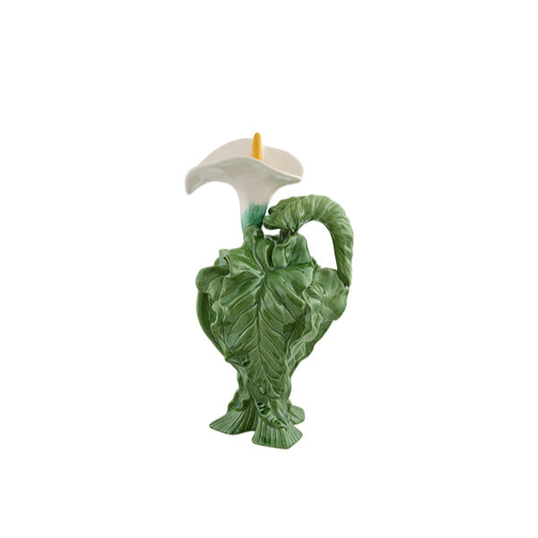 Pitcher Calla Lily