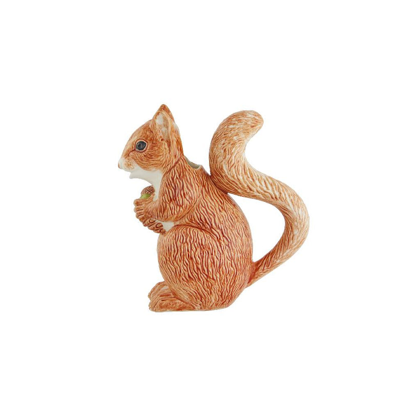 Pitcher 1.15L Squirrel