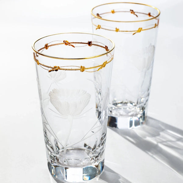 Paula Tumblers, 220 ml CLEAR S/2