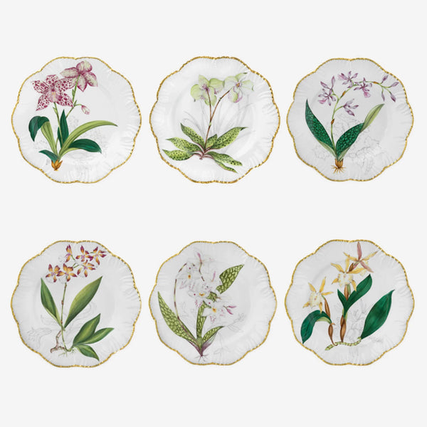 Histoires d'Orchidées- Dinner Plates Set of 6