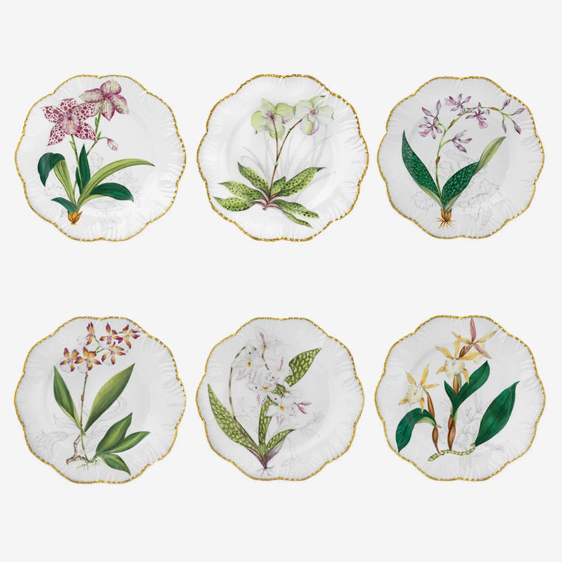 Histoires d'Orchidées- Dinner Plates Set of 6