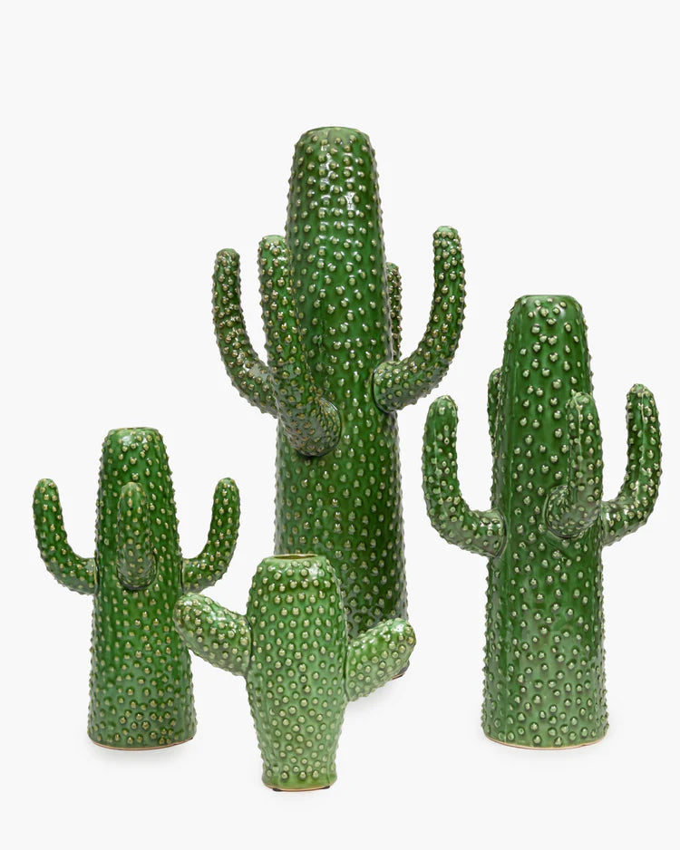 CACTUS S GREEN URBAN JUNGLE