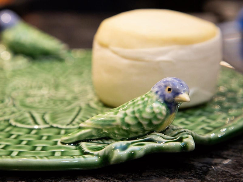 Leaf with blue bird Cineraria