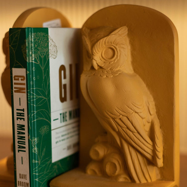 Owl Bookend Set of 2 Honey