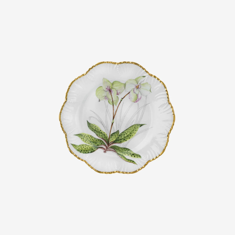 Histoires d'Orchidées- Dinner Plates Set of 6