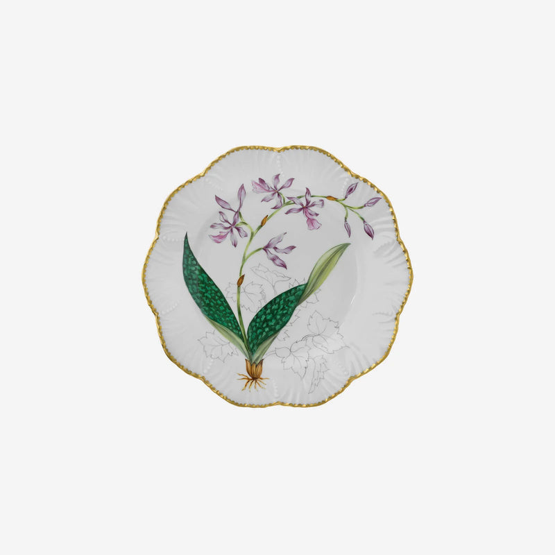 Histoires d'Orchidées- Dinner Plates Set of 6