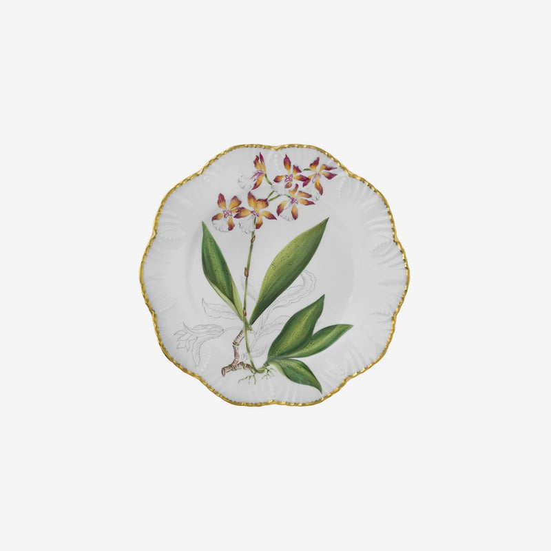 Histoires d'Orchidées- Dinner Plates Set of 6