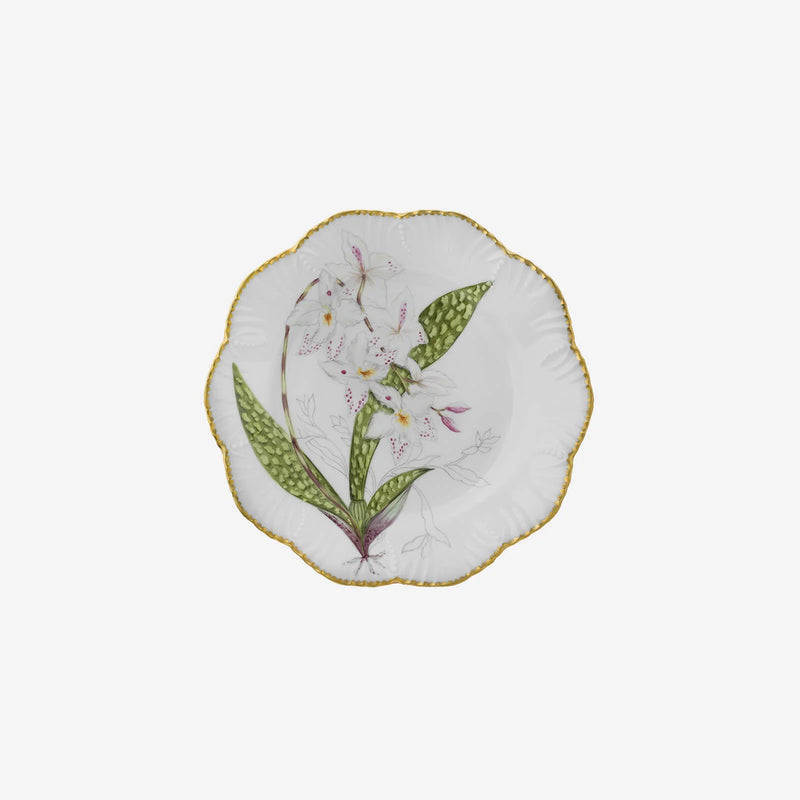 Histoires d'Orchidées- Dinner Plates Set of 6