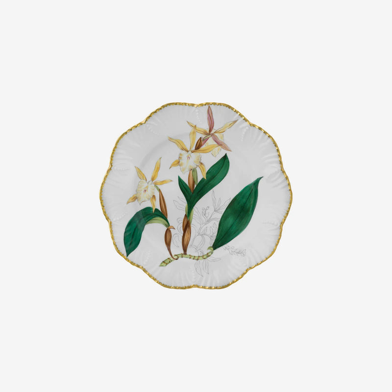 Histoires d'Orchidées- Dinner Plates Set of 6