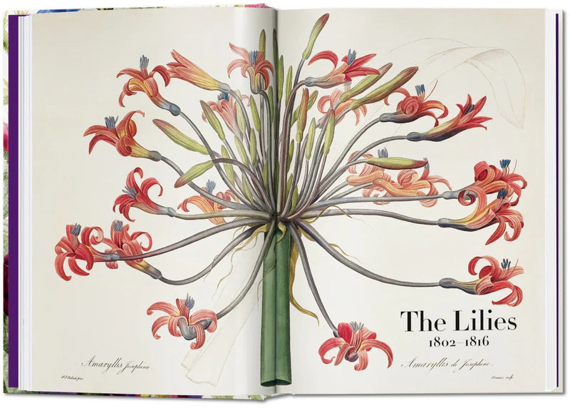 Books | Redouté - Book of Flowers 40th Edt. | Mérci Dehradun | Bring ...