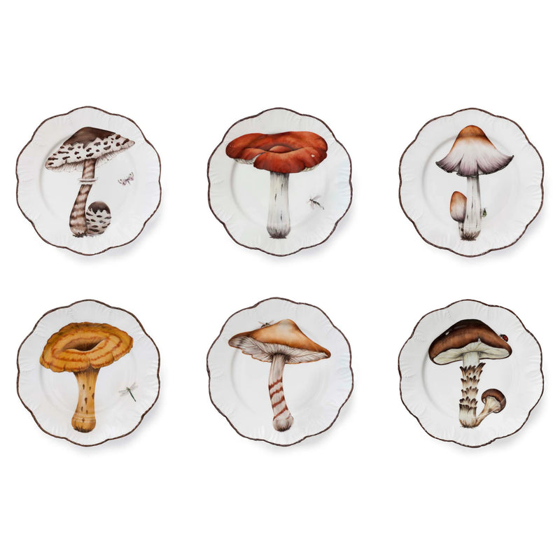 Les champignons - Dinner Plates Set of 6