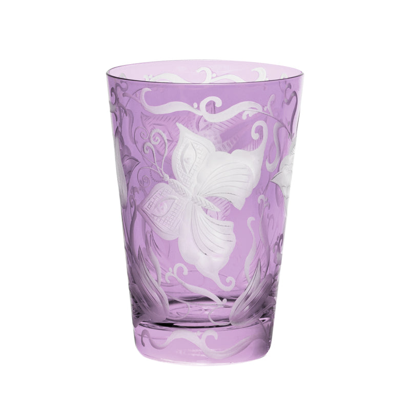 Social Butterflies Tumbler S/2