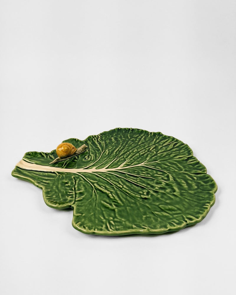 Cabbage Leaf with Snail Natural