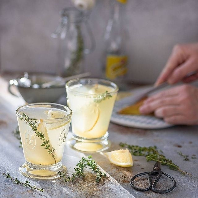 Fleur De Lys Tumbler