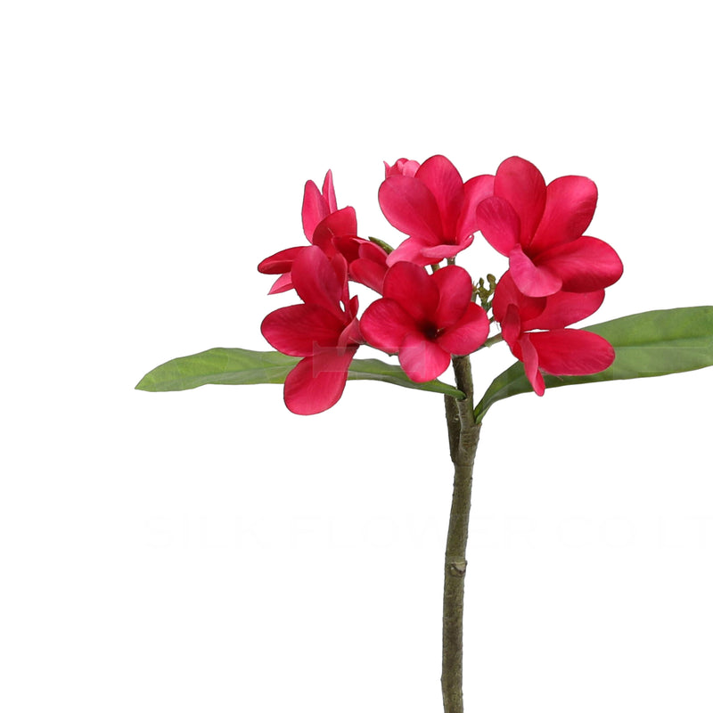 Silk Hot Pink Frangipani