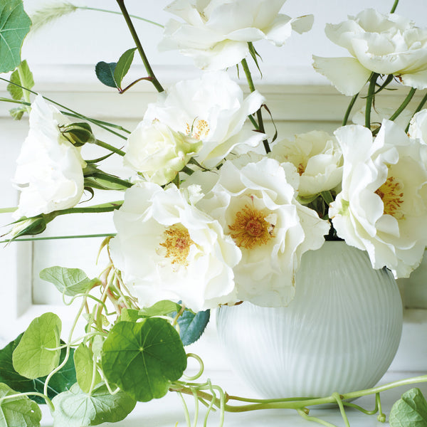 White Folia Rose Bowl