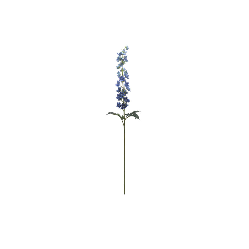 Delphinium Blue