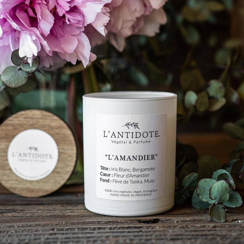L'Amandier