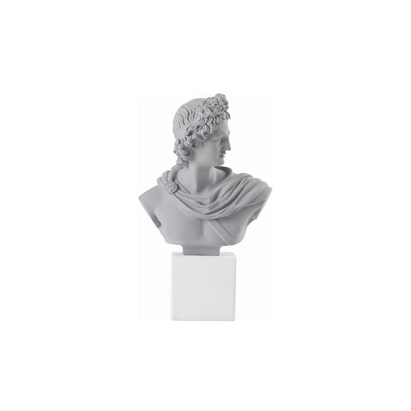 Apollo Bust Medium Grey