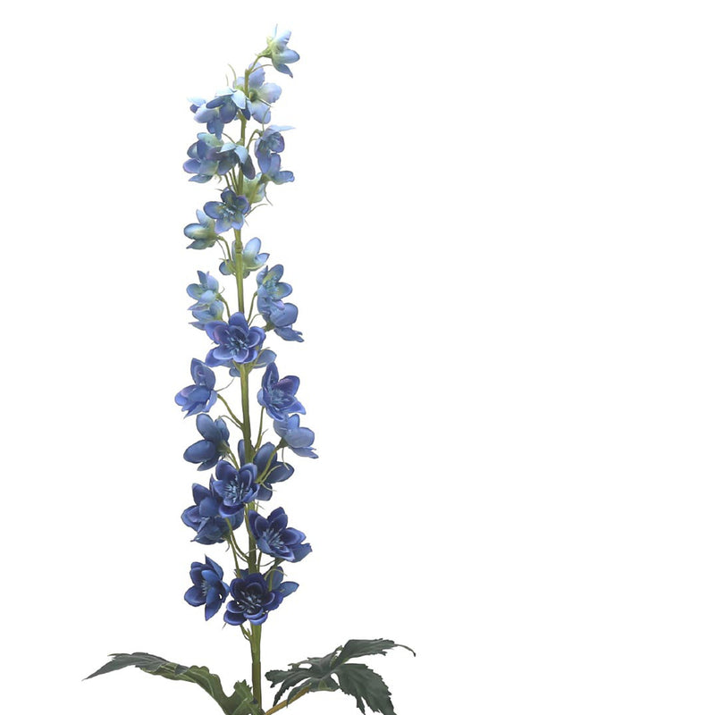 Delphinium Blue