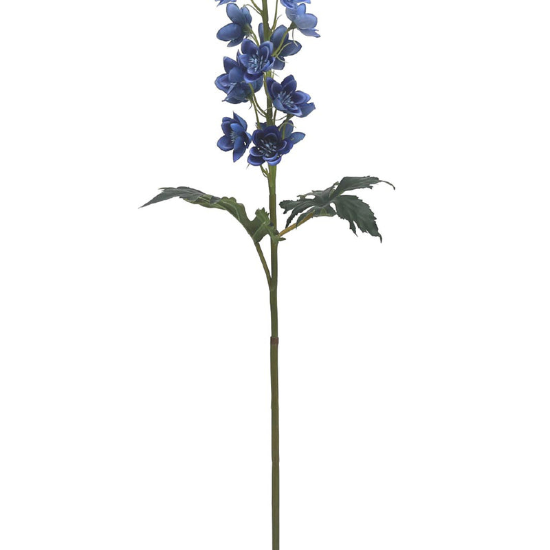 Delphinium Blue